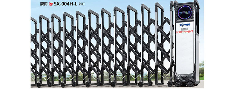 SX-004H-L�ʵ�